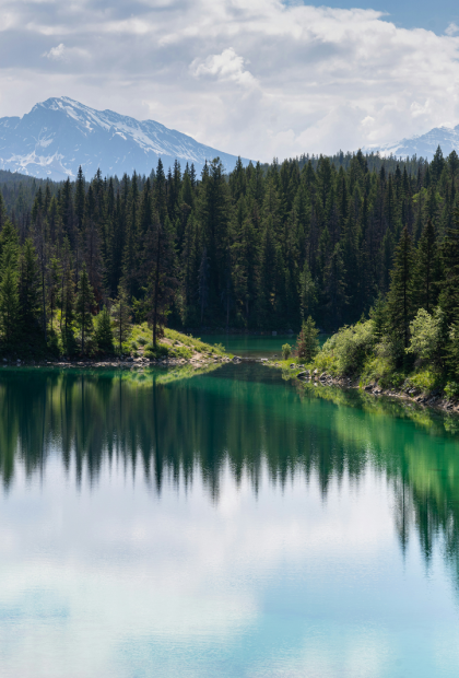 holidays-family-alternative