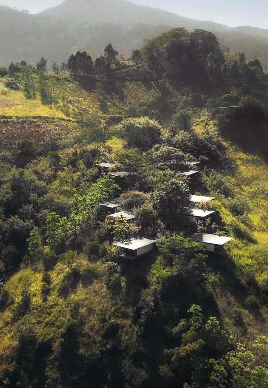 holiday-exclusive-wellness