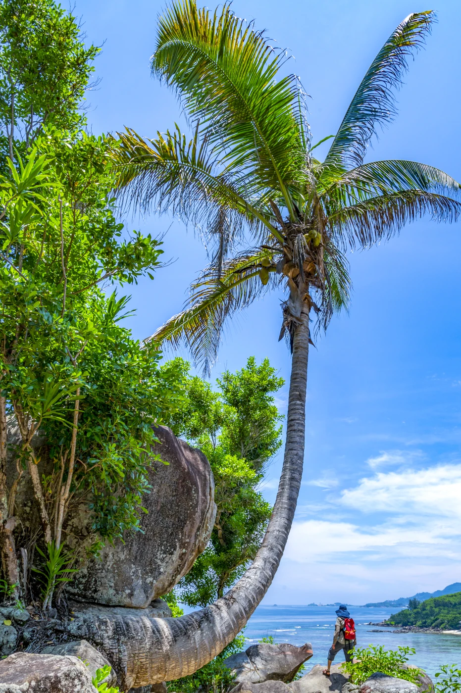 bespoke-cruise-vacations-luxury