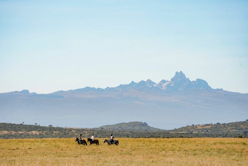 luxury-safari-lodge-bucket-list